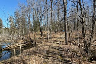 Land for Sale, 185 Julian Lake Rd, North Kawartha, ON Land for Sale, 185 Julian Lake Rd, North Kawartha, ON