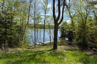 Property for Sale, 2612 Wilkinson Rd, Dysart et al, ON