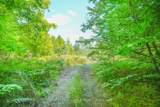 Vacant Residential Land for Sale, Lot 5 SIXTH St, South Bruce Peninsula, ON