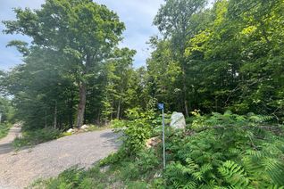 Vacant Residential Land for Sale, 554 Pigden Rd #Severed B, Madoc, ON