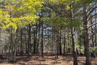 Vacant Residential Land for Sale, 137 NICOLE Blvd, Tiny, ON