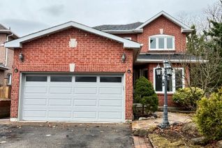 Detached House for Rent, 410 Clearmeadow Blvd #BSMNT, Newmarket, ON Detached House for Rent, 410 Clearmeadow Blvd #BSMNT, Newmarket, ON