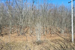 Vacant Residential Land for Sale, Lot 33 Macavalley Rd, Tiny, ON