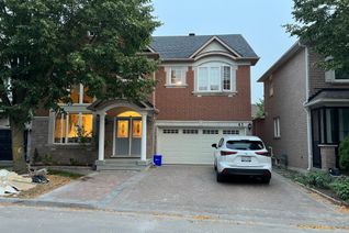Detached House for Rent, 41 Majestic Dr #BSMT, Markham, ON