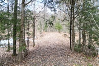 Land for Sale, 1231 Big Hawk Lake Rd, Algonquin Highlands, ON