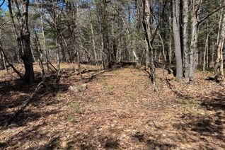 Vacant Residential Land for Sale, Lot 15 Con 2 Draper N/A, Bracebridge, ON