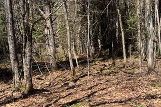 Vacant Residential Land for Sale, Lot 16 Con 2 Draper N/A, Bracebridge, ON