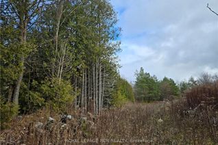 Vacant Residential Land for Sale, PTLT8ES SALTER St, Chatsworth, ON Vacant Residential Land for Sale, PTLT8ES SALTER St, Chatsworth, ON
