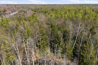 Property for Sale, 1673 Muskoka Rd 38 N/A, Muskoka Lakes, ON