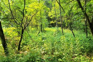 Vacant Residential Land for Sale, 35 MOUNT VERNON Trl #26, Huntsville, ON