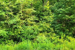 Vacant Residential Land for Sale, 26 MOUNT VERNON Trl #19, Huntsville, ON