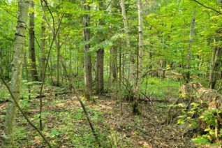 Vacant Residential Land for Sale, 29 MOUNT VERNON Trl #29, Huntsville, ON