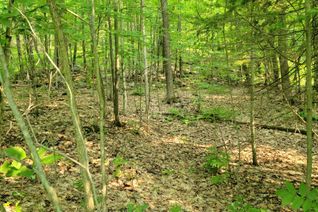 Vacant Residential Land for Sale, 32 MOUNT VERNON Trl #22, Huntsville, ON