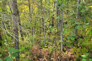 Vacant Residential Land for Sale, 4 FOX RUN Ln #32, Huntsville, ON