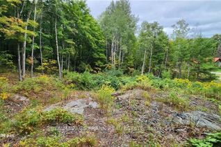Vacant Residential Land for Sale, 169 Northern Ave, Trent Lakes, ON