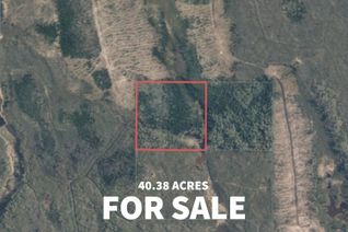 Property for Sale, Beatty Lot 3 Con 6 N/A, Black River-Matheson, ON Property for Sale, Beatty Lot 3 Con 6 N/A, Black River-Matheson, ON