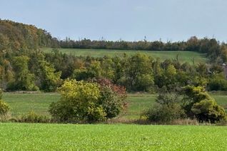 Land for Sale, 58111 12th Line (13 acre severed parcel) Rd, Meaford, ON