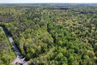 Land for Sale, Lot 20 Centre Rd, McKellar, ON Land for Sale, Lot 20 Centre Rd, McKellar, ON