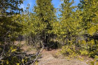 Land for Sale, 0 Sutter Rd, Northern Bruce Peninsula, ON