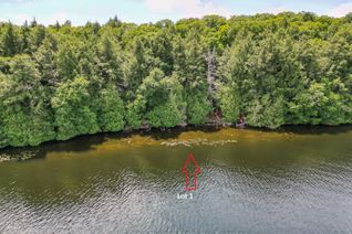 Vacant Residential Land for Sale, LOT 1 ESIG Ln, Lake of Bays, ON
