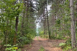 Land for Sale, 0 Government Rd, Whitewater Region, ON