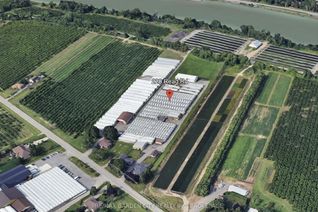 Commercial Farm for Sale, 228-234 Read Rd, St. Catharines, ON