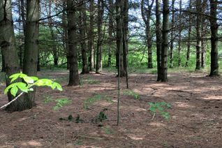Vacant Residential Land for Sale, 1451 Canal Rd, Ramara, ON