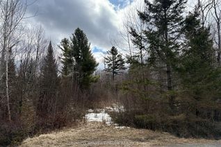 Vacant Residential Land for Sale, 2035 Ventnor Rd, Edwardsburgh/Cardinal, ON