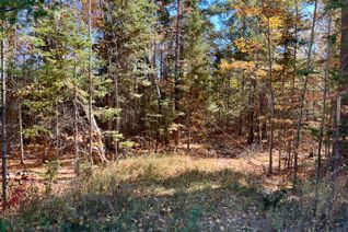 Property for Sale, 0 Foymount Rd, Bonnechere Valley, ON