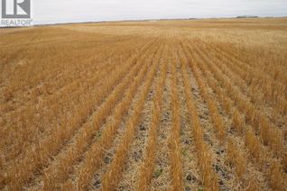 Farm for Sale, Olsen Quarter, Birch Hills Rm No. 460, SK