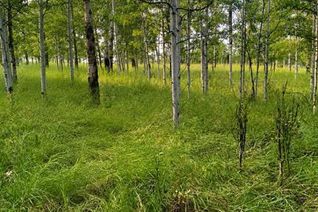 Commercial Land for Sale, 5228 Highway 579 #3, Rural Mountain View County, AB Commercial Land for Sale, 5228 Highway 579 #3, Rural Mountain View County, AB