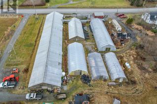 Other Business for Sale, 429 Seaview Drive, Upper North Sydney, NS