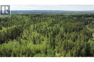 Land for Sale, Dl 1952 Mcrinney Road, Prince George, BC