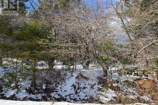 Commercial Land for Sale, No.8 Highway Maitland Bridge, Maitland Bridge, NS