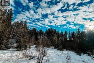 Commercial Land for Sale, 5724 Timothy Lake Road, Lac La Hache, BC