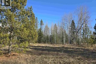 Commercial Land for Sale, Lot 1 13th Avenue, Valemount, BC