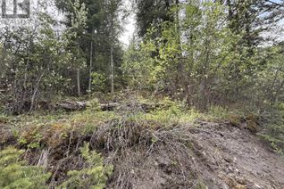 Commercial Land for Sale, 1955 S Lakeside Drive, Williams Lake, BC
