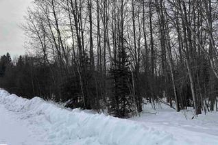 Property for Sale, 4 59011 Rge Rd 232, Rural Thorhild County, AB