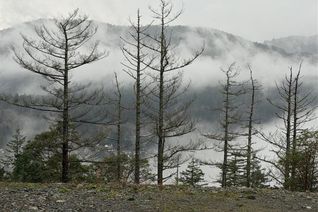 Vacant Residential Land for Sale, 2017 Pinehurst Terr, Langford, BC