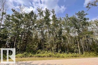 Property for Sale, 239 61029 Rr 465, Rural Bonnyville M.D., AB