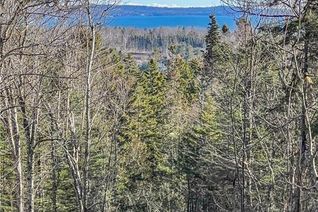 Commercial Land for Sale, Land Chamcook Lake No. 1 Road, Chamcook, NB