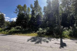 Land for Sale, 70911 Old Hope Princeton Highway, Sunshine Valley, BC