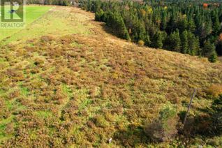 Land for Sale, Lot 24-1 Old East Mountain Road, East Mountain, NS