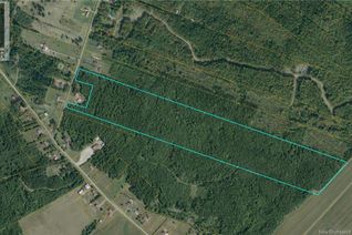 Commercial Land for Sale, Lot Ouellette Road, Haute-Aboujagane, NB