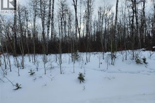 Commercial Land for Sale, 1 Smits Avenue, Nipawin Rm No. 487, SK