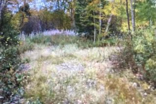 Land for Sale, 260a Main Street, Embree, NL