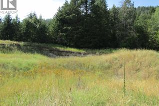 Commercial Land for Sale, 8841 Riverside Drive, Grand Forks, BC