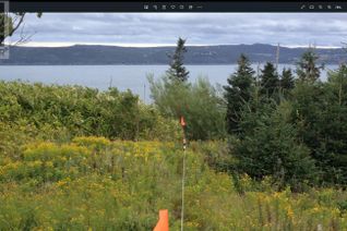 Property for Sale, 4 Cemetery Hill, Bell Island, NL