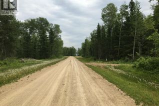 Commercial Land for Sale, 3 Wilson Crescent, Big River Rm No. 555, SK