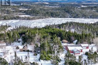 Property for Sale, 206 Vineland Road, Salmonier, NL
